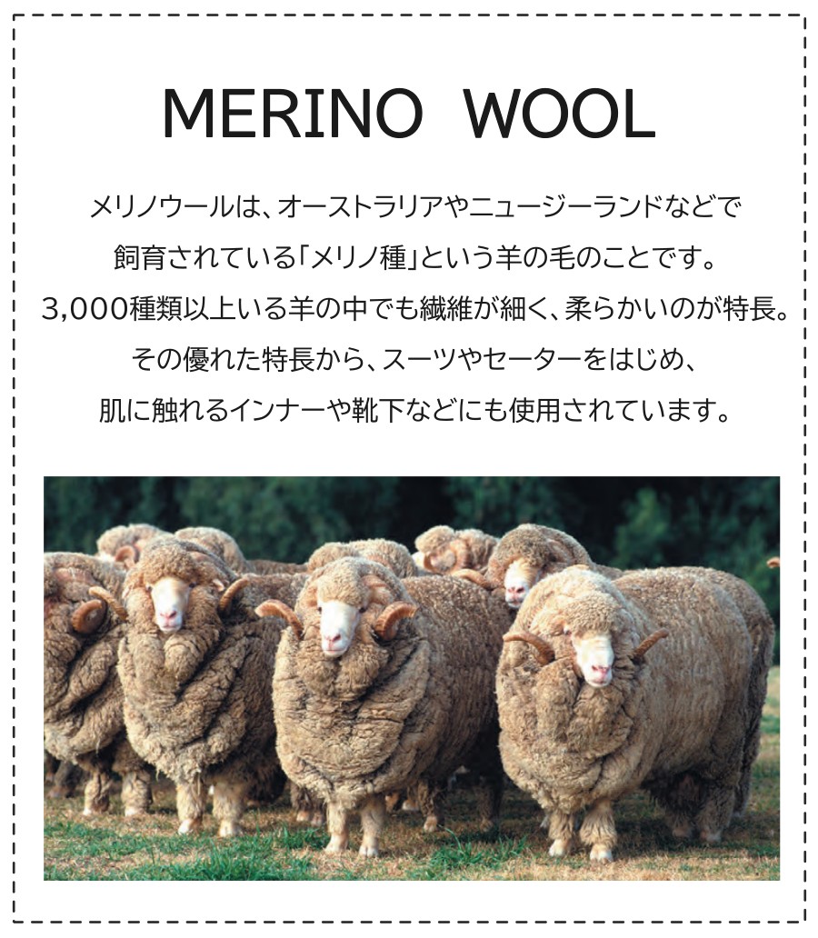 メリノウールとは