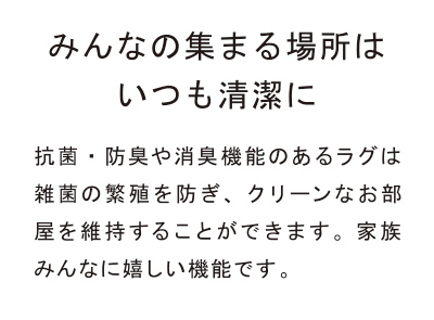 機能で選ぶラグ